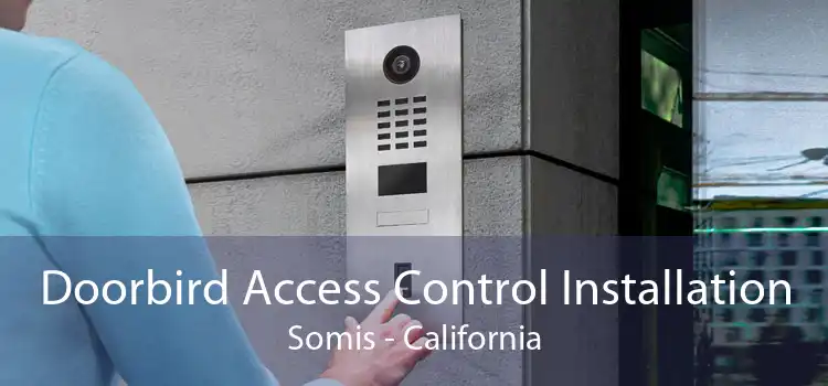 Doorbird Access Control Installation Somis - California