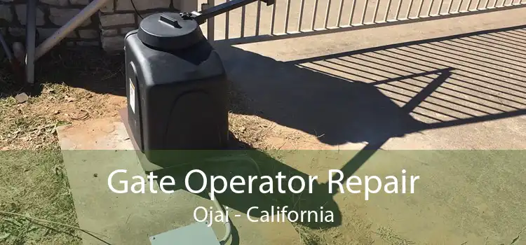 Gate Operator Repair Ojai - California