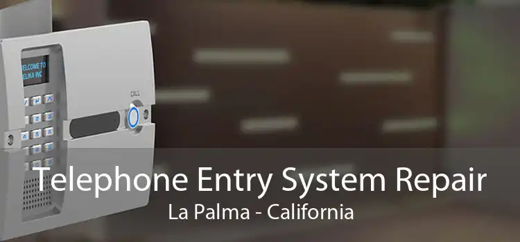 Telephone Entry System Repair La Palma - California