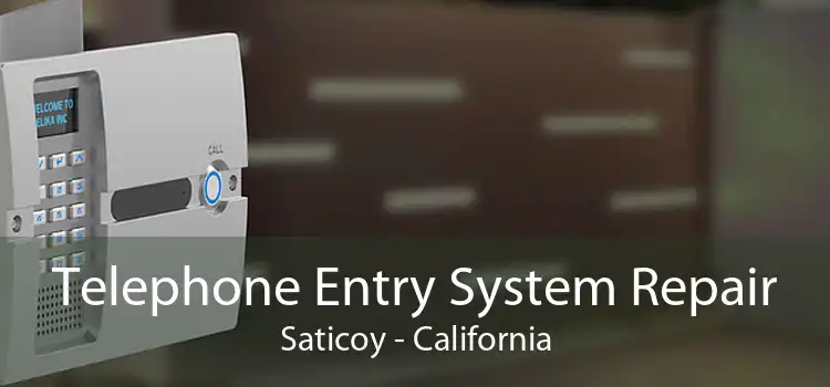 Telephone Entry System Repair Saticoy - California